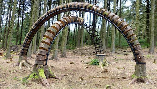 Reconnected - Artist Reunites Illegally Felled Trees With Their Stumps