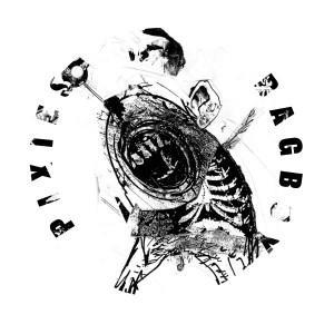 Pixies Bagboy1 300x300 The Pixies   Bagboy