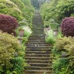 view looking up the hundred steps