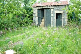 Marvellous meadow or messy mankiness?