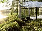 Week Review: Great Reads Have Missed