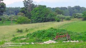 LaRita's Lodge Bed and Breakfast in Upland, Indiana 