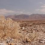 Death Valley Desert shot