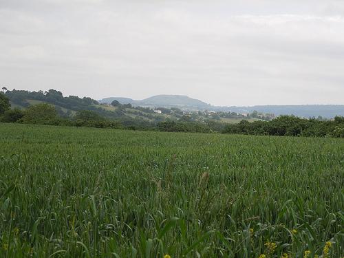 A Combe and Castle Walk