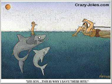Why sharks swim in circles