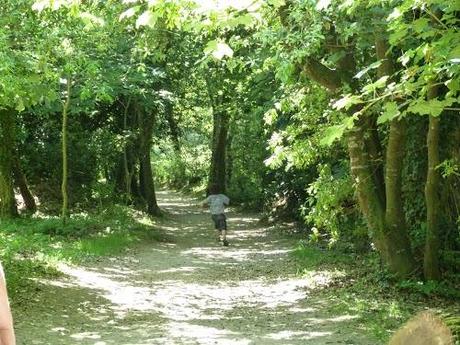 187/365 Found Heligan's lost garden