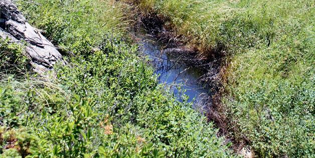 Underground Pipeline Spills an Estimated 25,000 of Gasoline on Crow Reservation in Montana