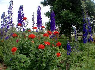 NATURE MANITOBA GARDEN TOUR