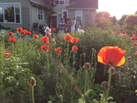 NATURE MANITOBA GARDEN TOUR