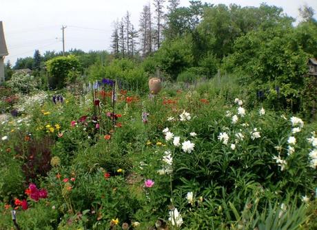 NATURE MANITOBA GARDEN TOUR