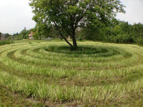 NATURE MANITOBA GARDEN TOUR