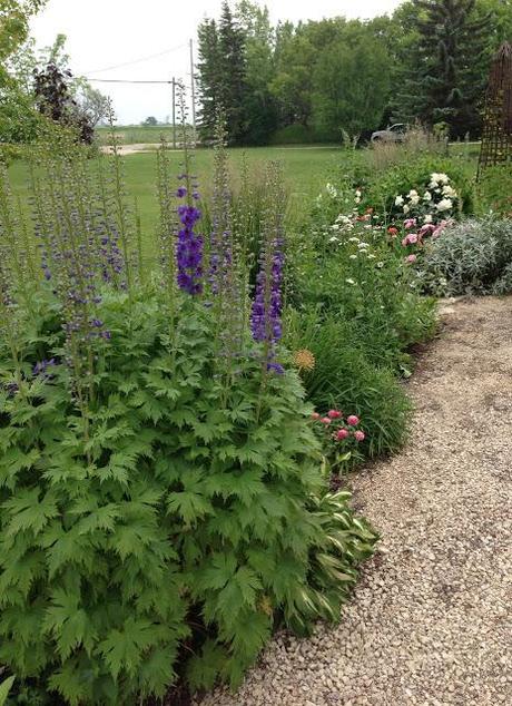 NATURE MANITOBA GARDEN TOUR