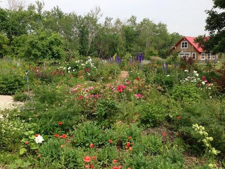 NATURE MANITOBA GARDEN TOUR