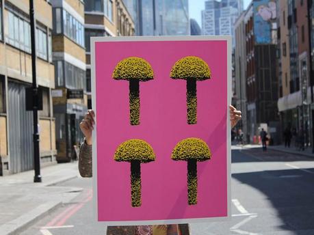  Introducing: Salted Prints