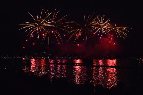 artborghi-zuerifaescht-2013-fireworks- 6