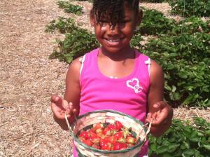 Nashalee strawberry picking