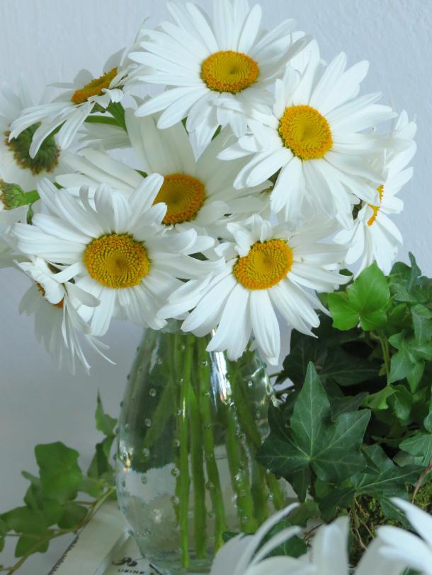 Daisy arrangement
