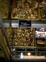 Trendy Vegan Spotlight: Mushrooms