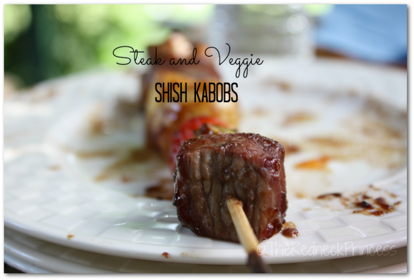 Steak and Veggie Shish Kabobs