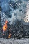 The Lighting Of The Bonfire