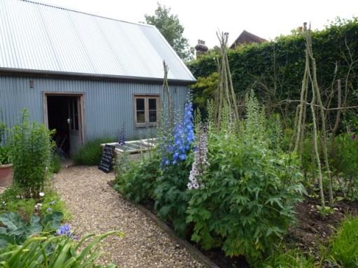tin shed at bottom of vegetable garden