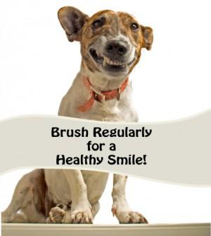 dog dental hygiene