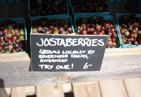 jostaberry jam paperblog farms balsam gooseberry either didn said guy know which