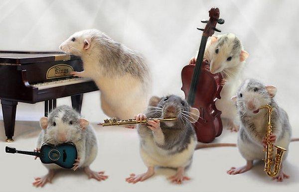 the-rat-pack-1