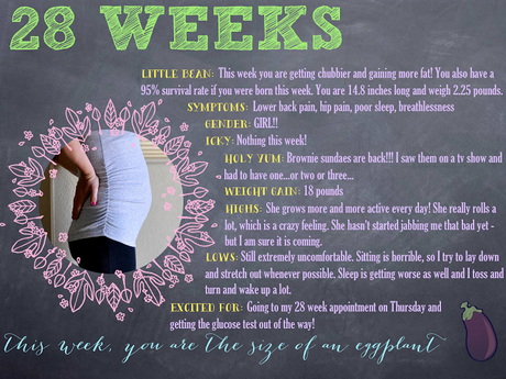 28 Week Bumpdate!