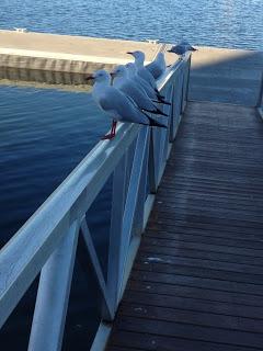 Gold Coast 2013