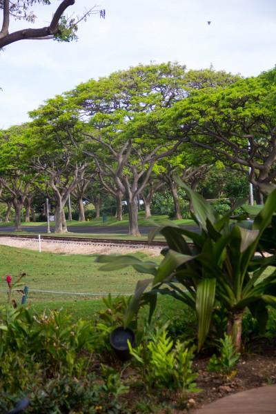 IMG 3146 400x600 Oahu: Ko’Olina Lagoons  