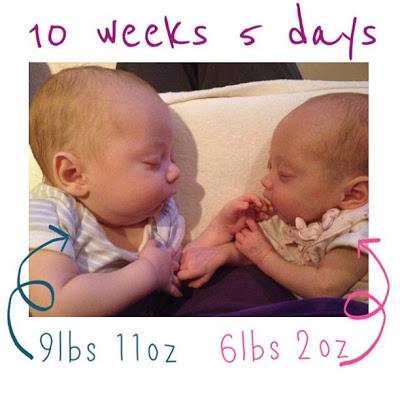The Twins: 11 weeks in the World