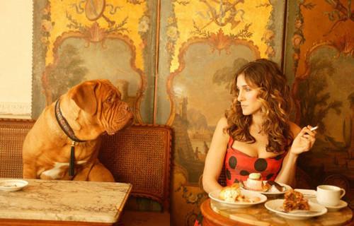 Carrie Bradshaw, Sarah Jessica Parker, Fashion, Style, NYC, New York, Street Style, Sex and the city, Celebrity, icon, Paris, Bakery, Dog, Cakes