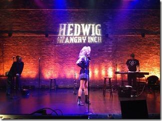 Review: Hedwig and the Angry Inch (Haven Theatre Chicago)