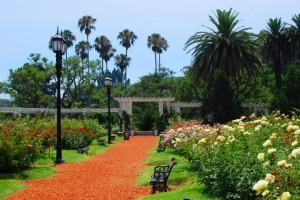 el rosedal jardines de palermo buenos aires 513095 300x200 Living together with Argentine hosts