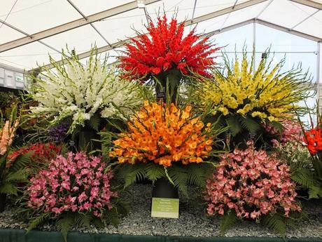 RHS Hampton Court 2013 - The Floral Marquee