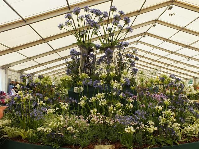 RHS Hampton Court 2013 - The Floral Marquee