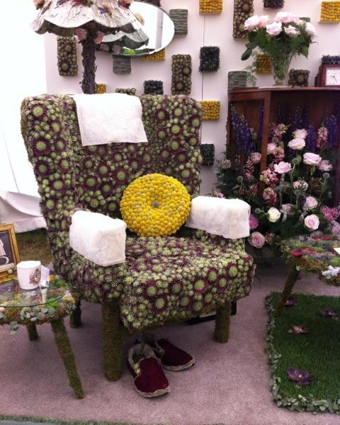 an armchair made entirely from succulents