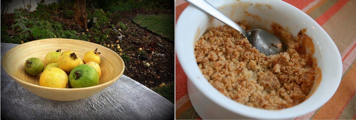 Spiced Guava & Coconut Crumble