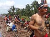 Brazil Indigenous Protest Blocks Major Iron Railway