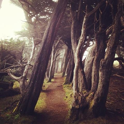 Dwell Magazine on Instagram