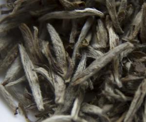 To Rinse or Not To Rinse? Another look at Rinsing Tea Leaves