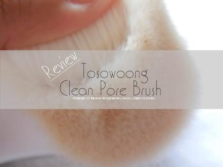 REVIEW | Tosowoong Detail Clean Pore Brush