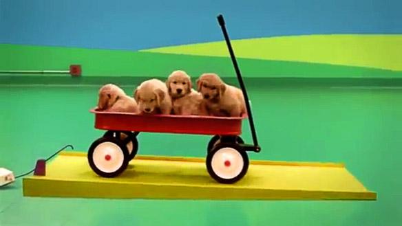 VIDEO: See the Coolest DOG Commercial in the World!