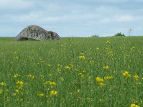 brownshill portal tomb in farm field - county carlow - ireland