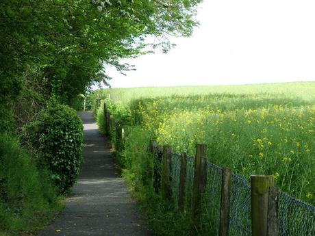 brownshill portal tomb - walkway alongside farm field - county carlow - ireland