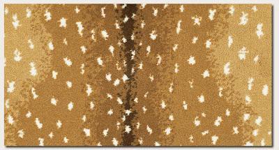 Home on the Range Home on the Range