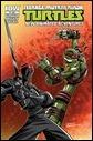 Teenage Mutant Ninja Turtles New Animated Adventures #4