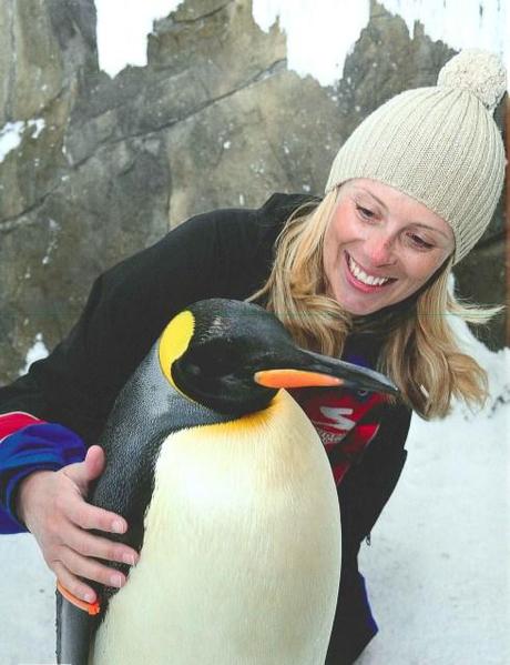 How to hug a penguin. 