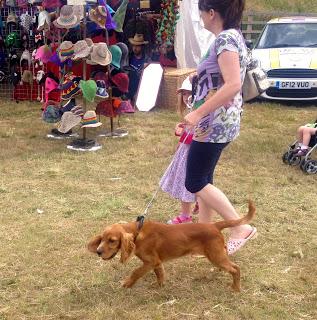 #lyf Chesterfield Canal Festival